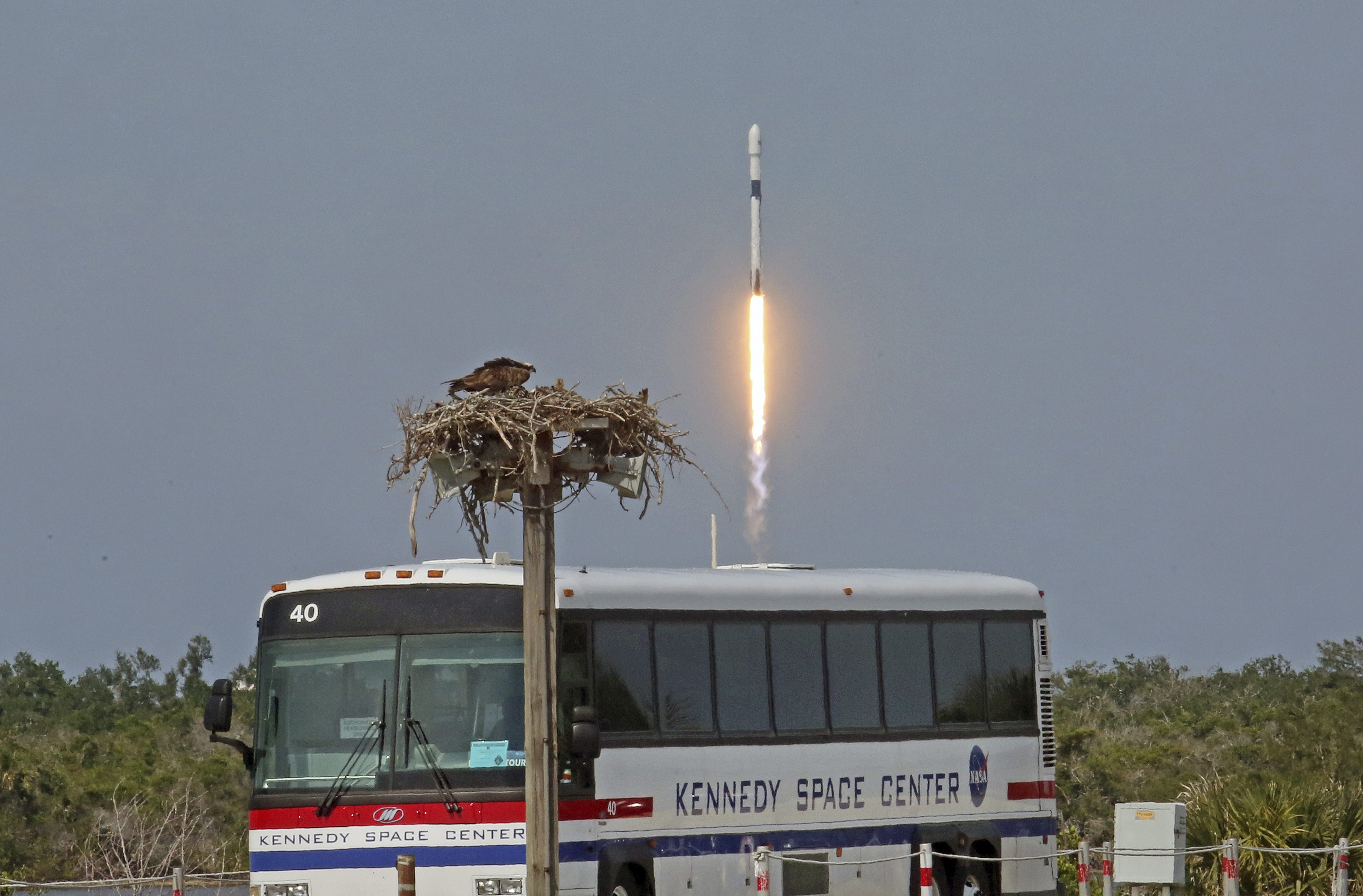 SpaceX's upgraded rocket soars with satellite for Bangladesh